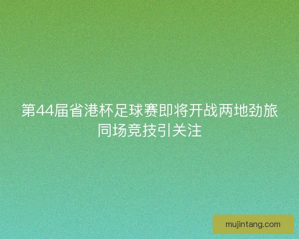 第44届省港杯足球赛即将开战两地劲旅同场竞技引关注